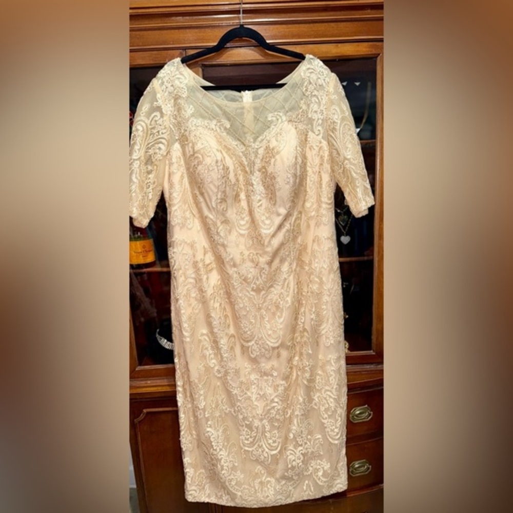Elegant Cream Lace Dress